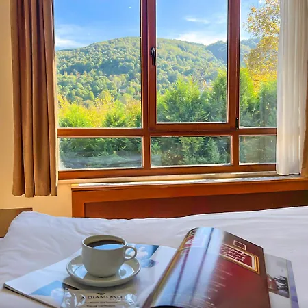 A Diamond The Hotell Sapanca