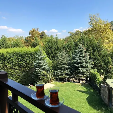 A Diamond The Sapanca