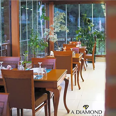 A Diamond The Otel Sapanca