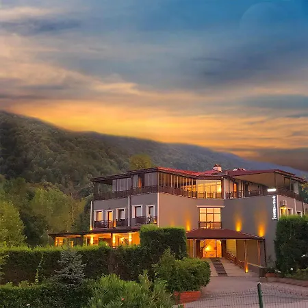 A Diamond The Hotell